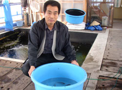 Mr. Iwashita at a Koi farm