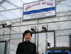 Koshiji Koi Farm